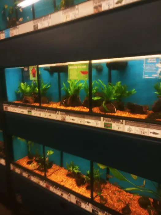 Petco Picture 1