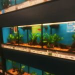 Petco