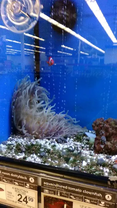Petco Picture 8