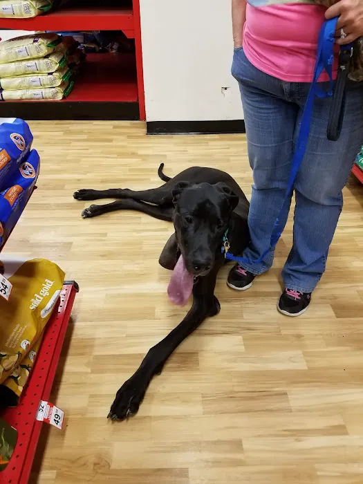 Petco Picture 9