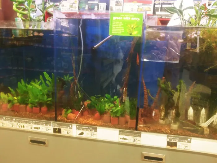 Petco Picture 5