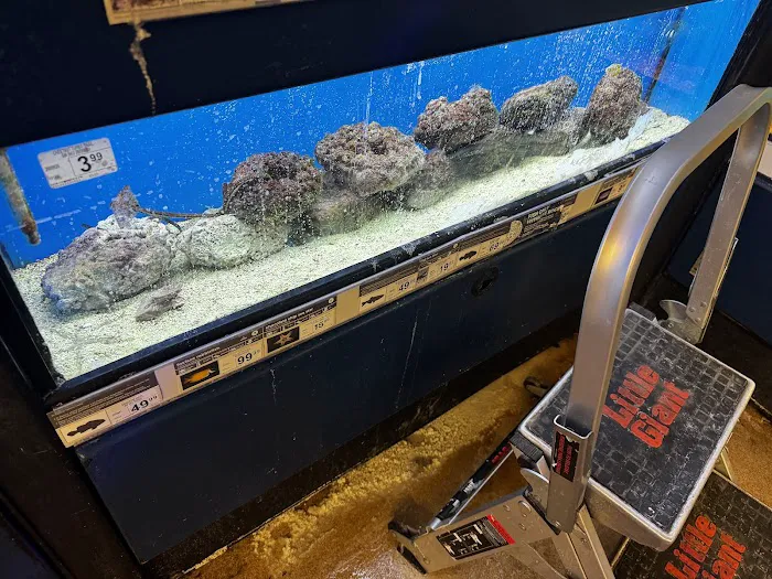 Petco Picture 6