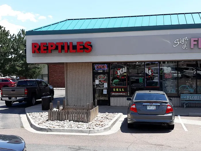 Reptiles Picture 4