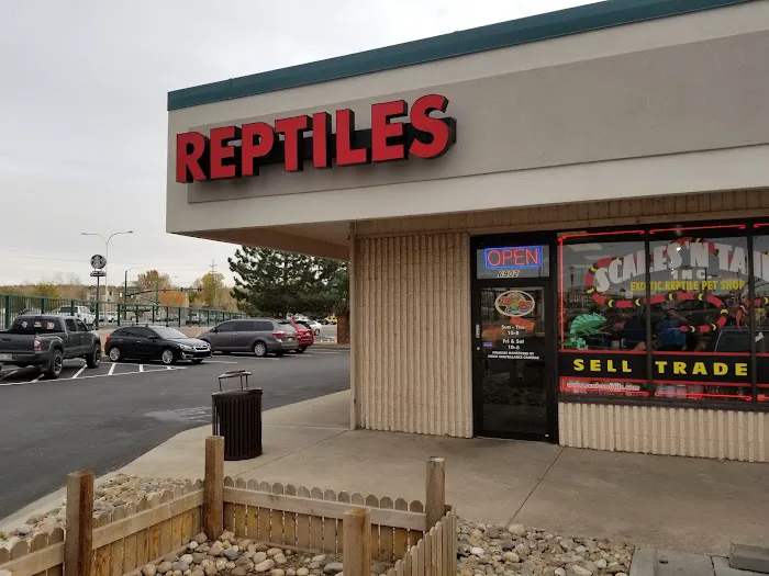 Scales 'N Tails Colorado Springs Picture 1