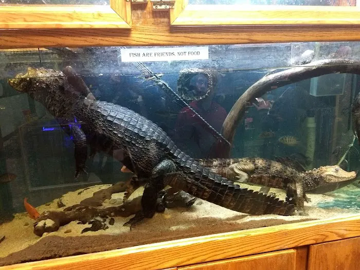 Scales 'N Tails Colorado Springs Picture 7