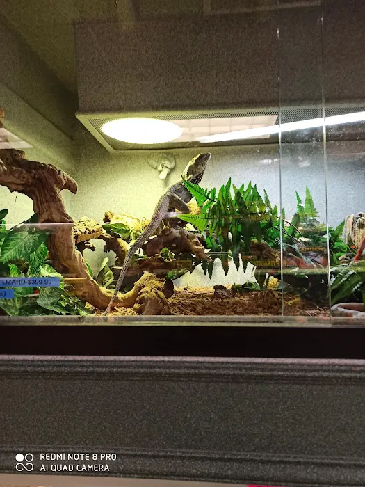 Scales 'N Tails Colorado Springs Picture 2