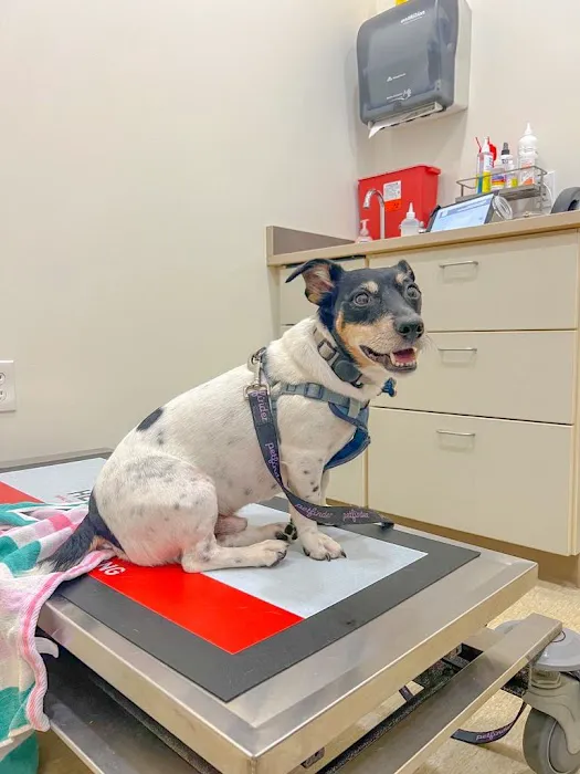 Belvedere Veterinary Center Picture 1