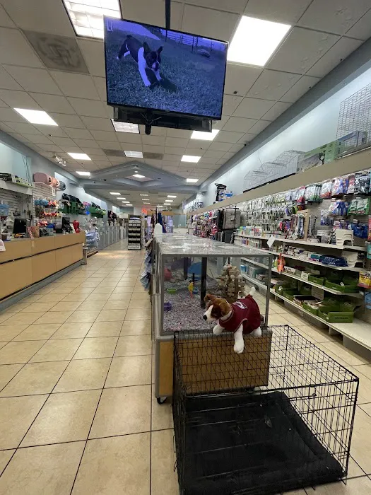 Pet City Pet Shops - Chapel Hills Mall, Colorado Picture 3