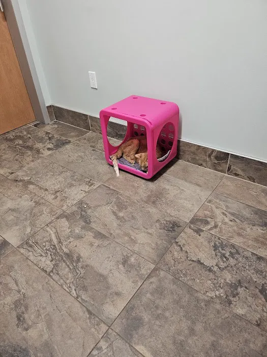 Everhart Veterinary Cross Keys Picture 4