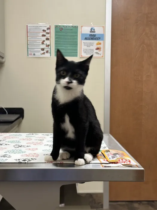 Everhart Veterinary Cross Keys Picture 1