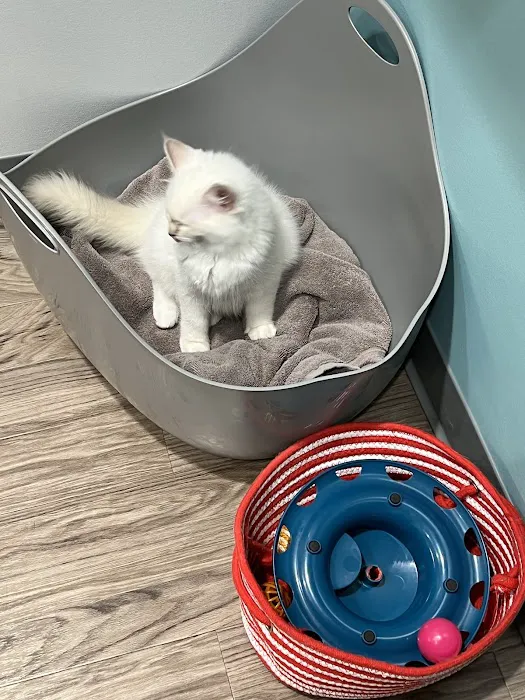 Evergreen Veterinary Care Picture 5