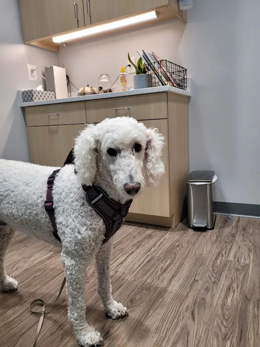 Evergreen Veterinary Care Picture 8