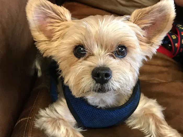 Evergreen Veterinary Care Picture 10