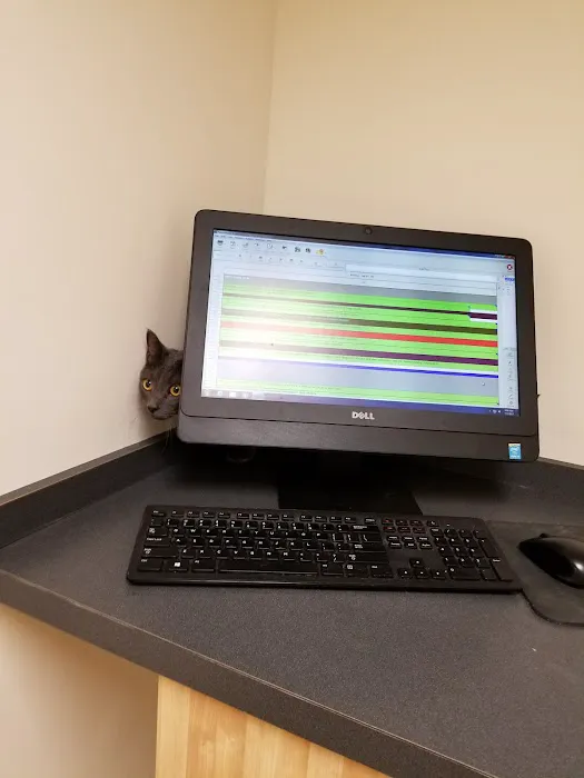 Neighborhood Vet Care Picture 3