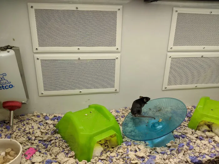 Petco Picture 9