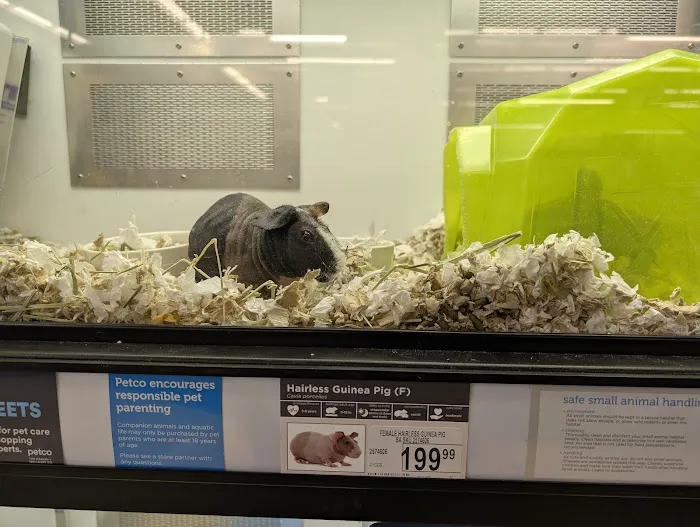 Petco Picture 3