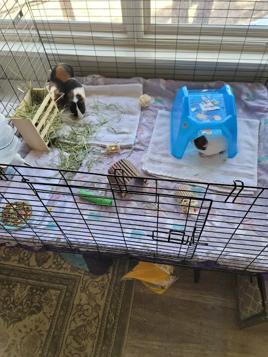 Petco Picture 1