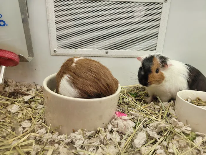 Petco Picture 7