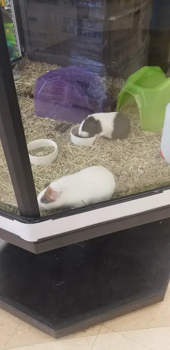 Petco Picture 6