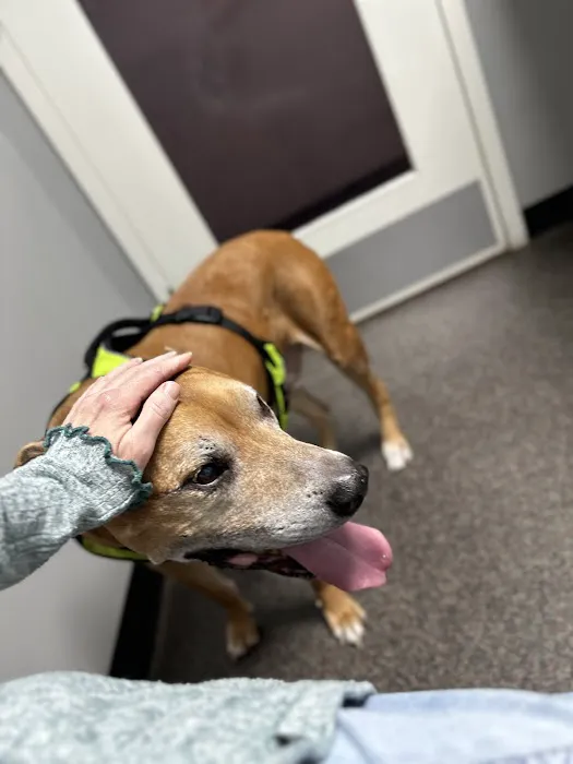 Pikesville Animal Hospital Picture 1