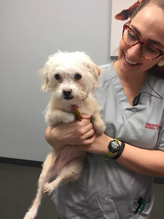 Pikesville Animal Hospital Picture 3