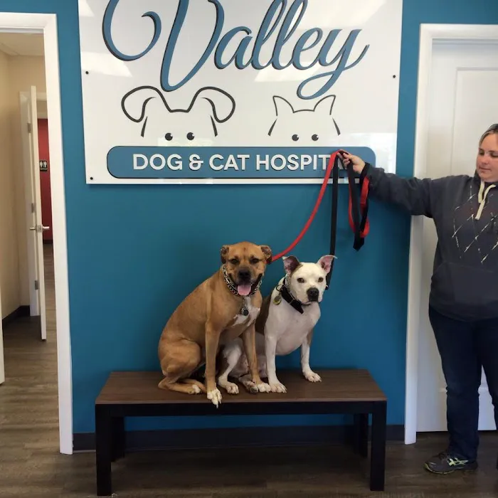 Valley Dog & Cat Hospital Picture 6
