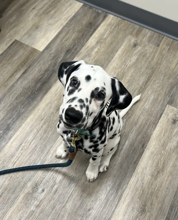 Owings Mills Veterinary Center Picture 1