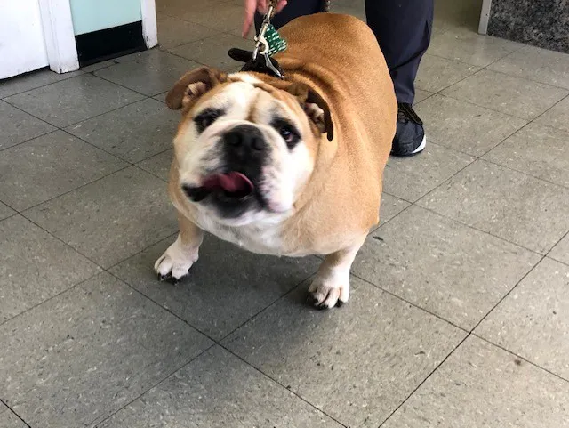 Owings Mills Veterinary Center Picture 9