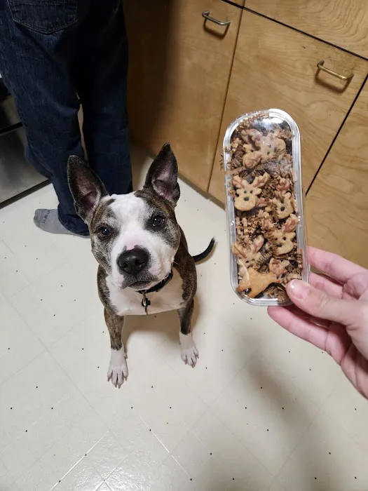 Milo's BARKery & BARKeasy Picture 5