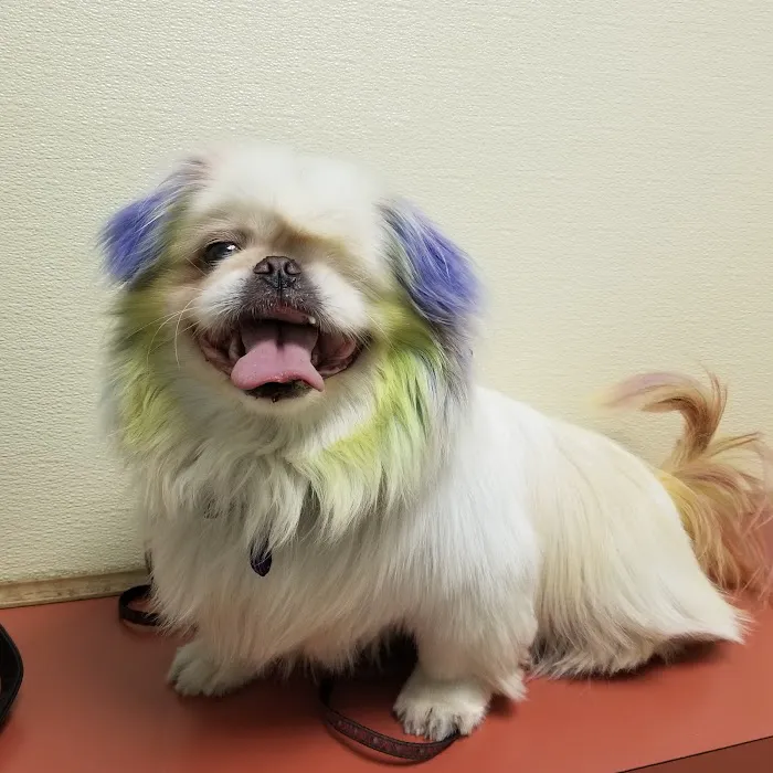 Rosedale Animal Hospital Picture 1