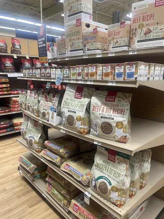 Petco Picture 7