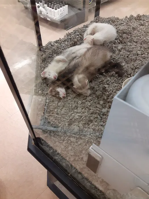 Petco Picture 10