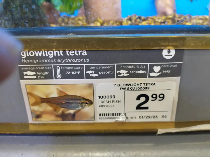 Petco Picture 8