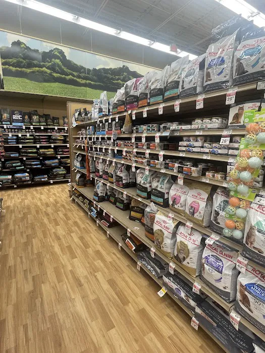 Petco Picture 9