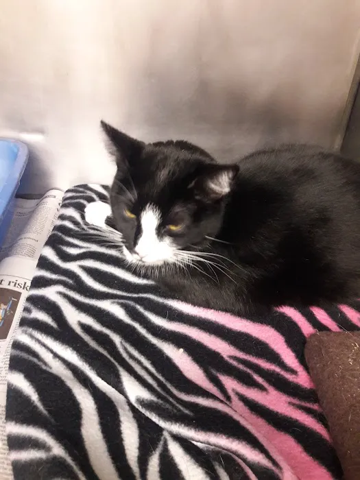 Dundalk Animal Hospital Picture 9