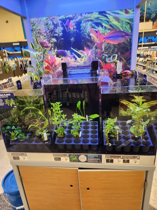 Petco Picture 3