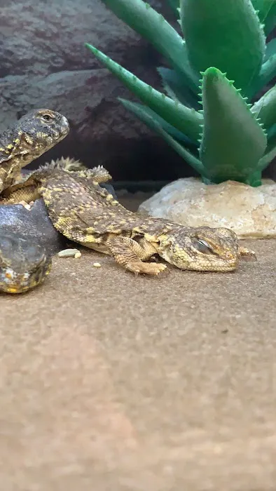 Petco Picture 10