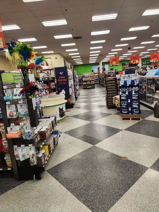 Petco Picture 1
