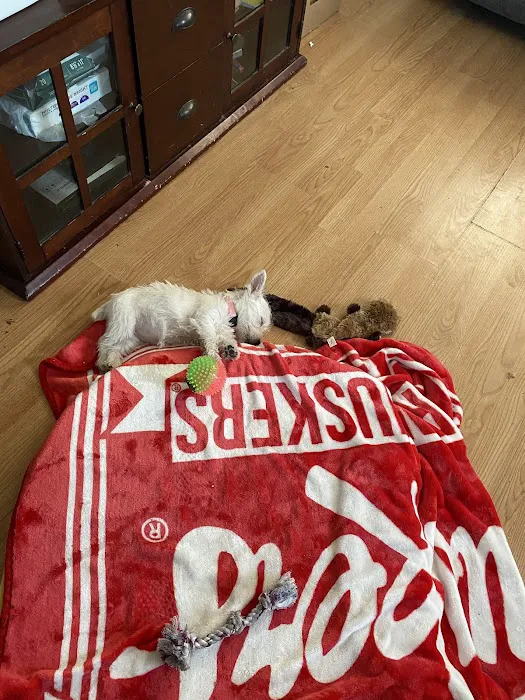 Tully's Kennels Picture 9