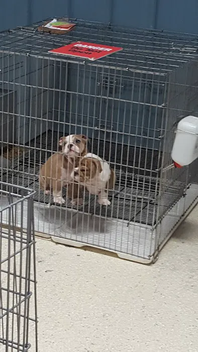 Tully's Kennels Picture 3