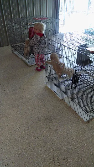 Tully's Kennels Picture 4