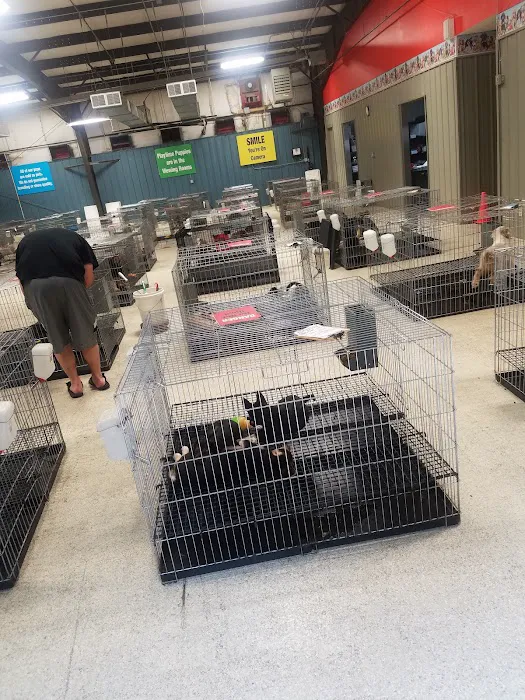 Tully's Kennels Picture 10