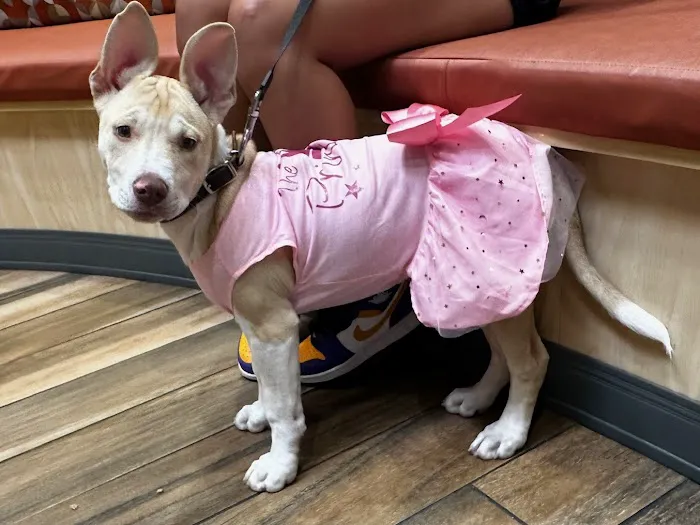 Eastern Animal Hospital Picture 1