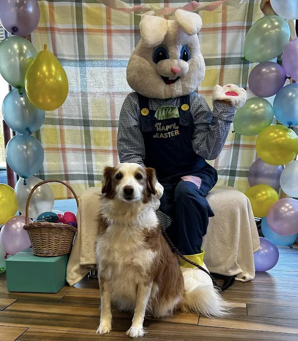 Eastern Animal Hospital Picture 2