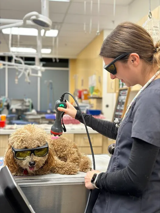 Eastern Animal Hospital Picture 9
