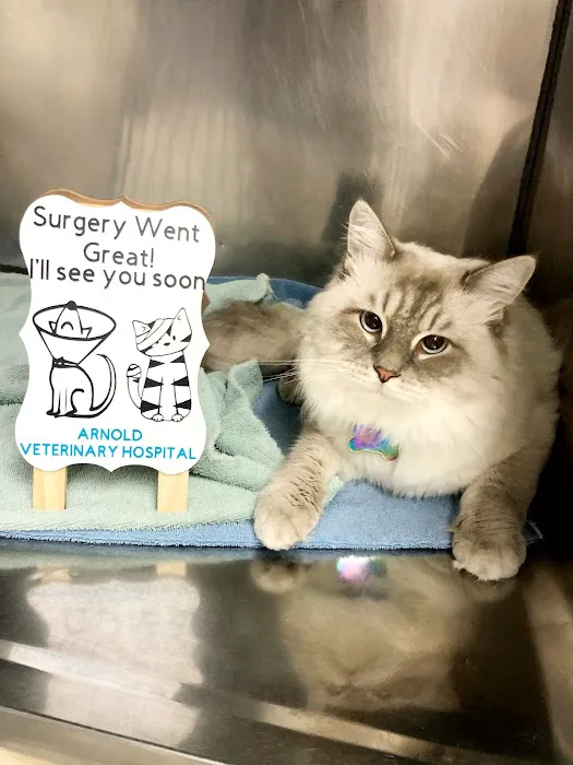 Arnold Veterinary Hospital Picture 2