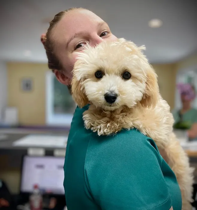 Arnold Veterinary Hospital Picture 7