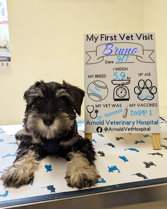 Arnold Veterinary Hospital Picture 8