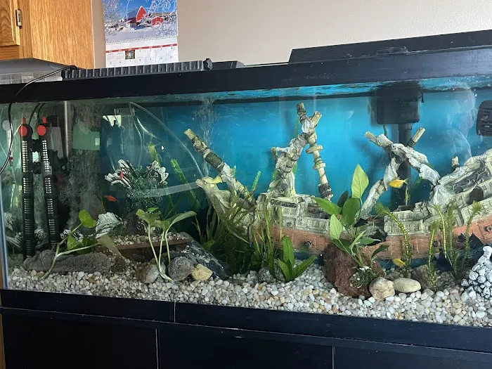 Too Many Tanks Picture 3