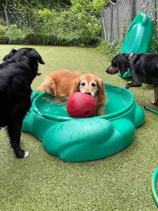 Arnold Pet Station Picture 3